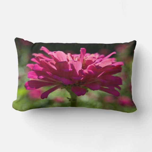 Glatta Zinnia Lumbarkudde (Framsida)