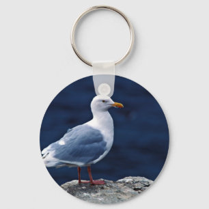 Glaucous fiskmås nyckelring