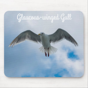 Glaucous-Winged Gull Musmatta