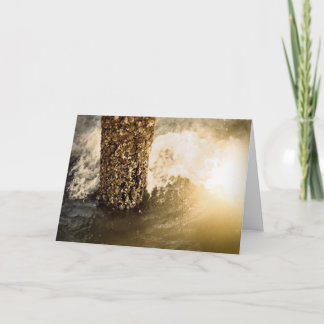 Glee! Den underbara stormen är över! Kort