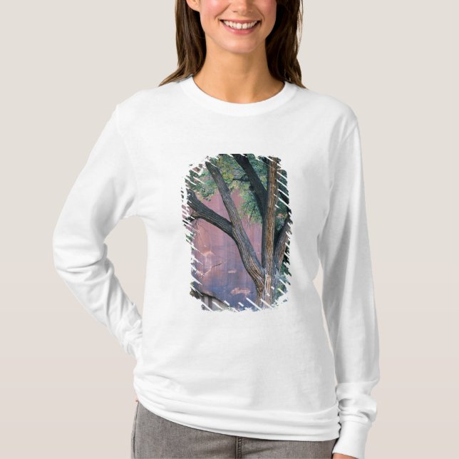 Glen Canyon National Recreation Area, Utah. USA. Tee Shirt (Framsida)