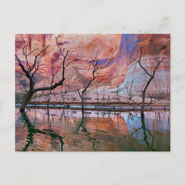 Glen Canyon National Recreation Area, Utah Vykort (Framsida)