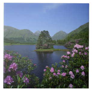 Glen Etive, Highland, Skottland Kakelplatta