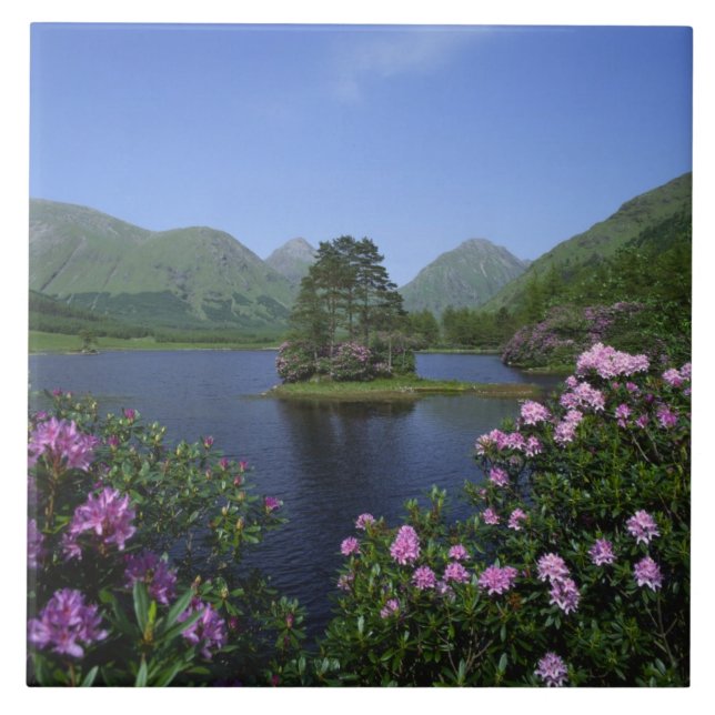 Glen Etive, Highland, Skottland Kakelplatta (Framsidan)