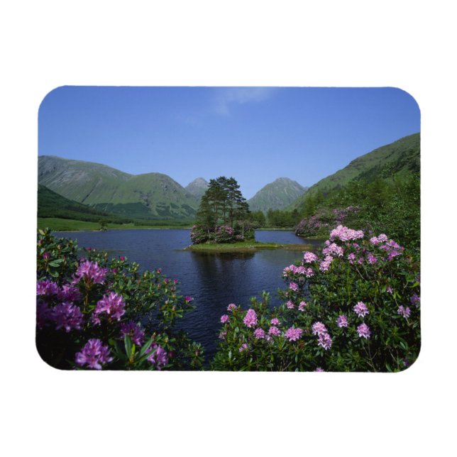 Glen Etive, Highlands, Skottland Magnet (Horisontell)