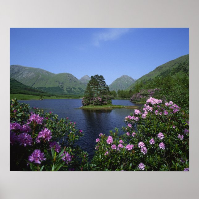 Glen Etive, Highlands, Skottland Poster (Framsidan)