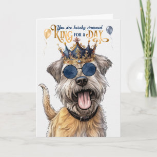 Glen of Imaal Terrier Hund Funny Birthday Kort