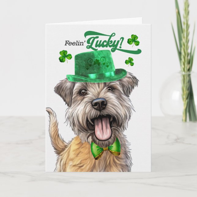 Glen of Imaal Terrier Hund Lucky St patrick's day Helgkort (Framsida)