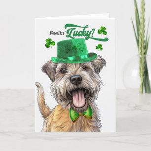 Glen of Imaal Terrier Hund Lucky St patrick's day Helgkort