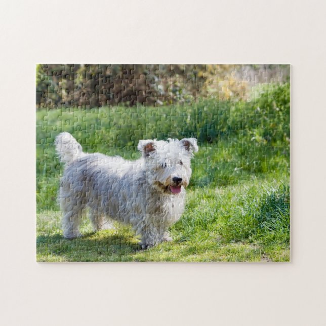 Glen of Imaal Terrier hund Pussel (Horisontell)
