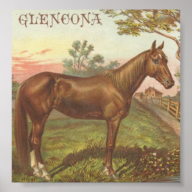 Glencona Poster (Framsidan)