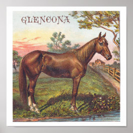 Glencona Vintage Chestnut Tävla Horse Poster