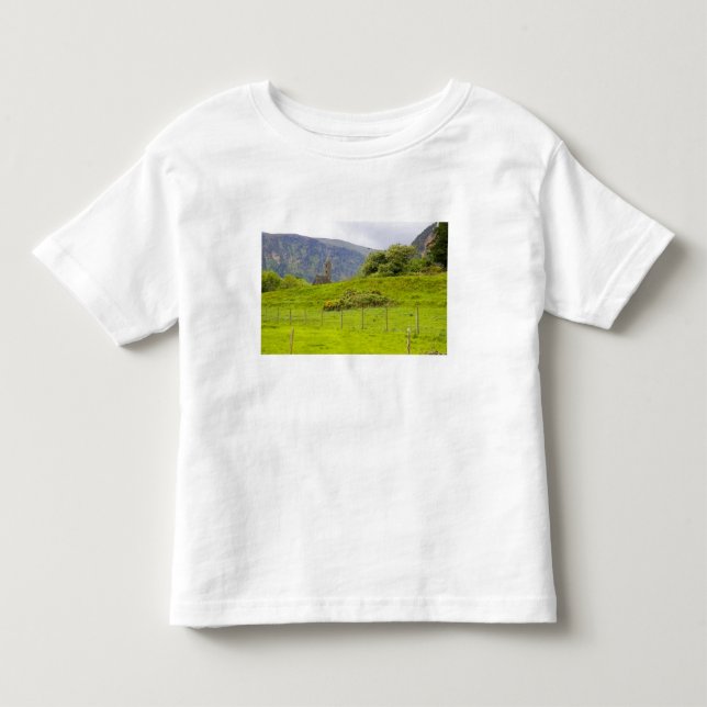 Glendalough, Irland. Glendalough är en av Tee (Framsida)