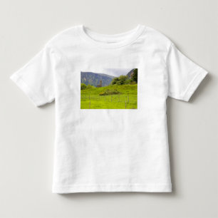 Glendalough, Irland. Glendalough är en av Tee Shirt