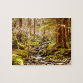 Glendalough Wicklow Irland Pussel