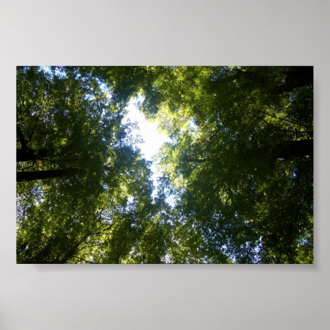 Glenorchy, NZ Poster (Framsidan)