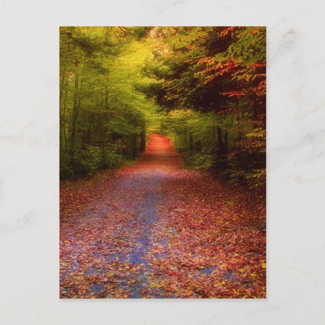 Glenskog Vykort (Framsida)