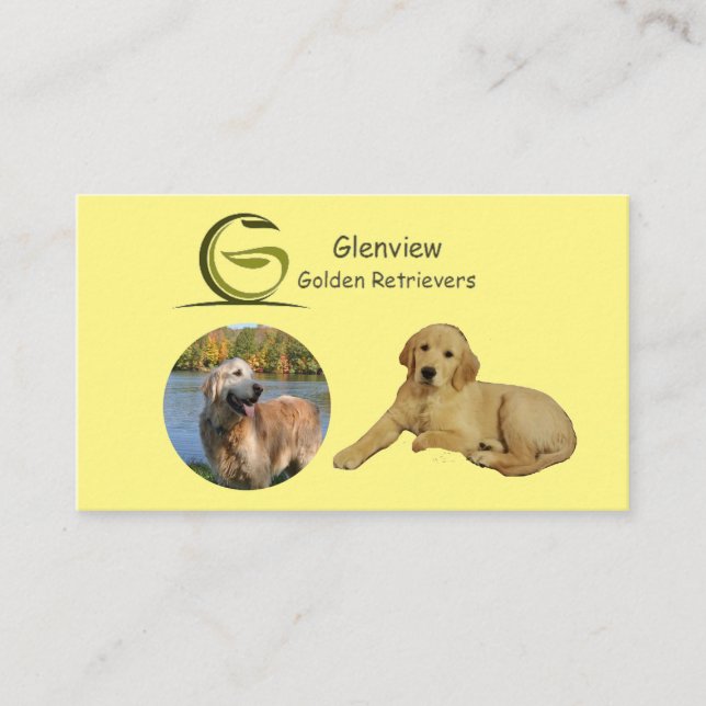 Glenview Golden Retrivers Visitkort (Framsida)