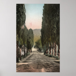 Glenwood Springs Colorado Poster