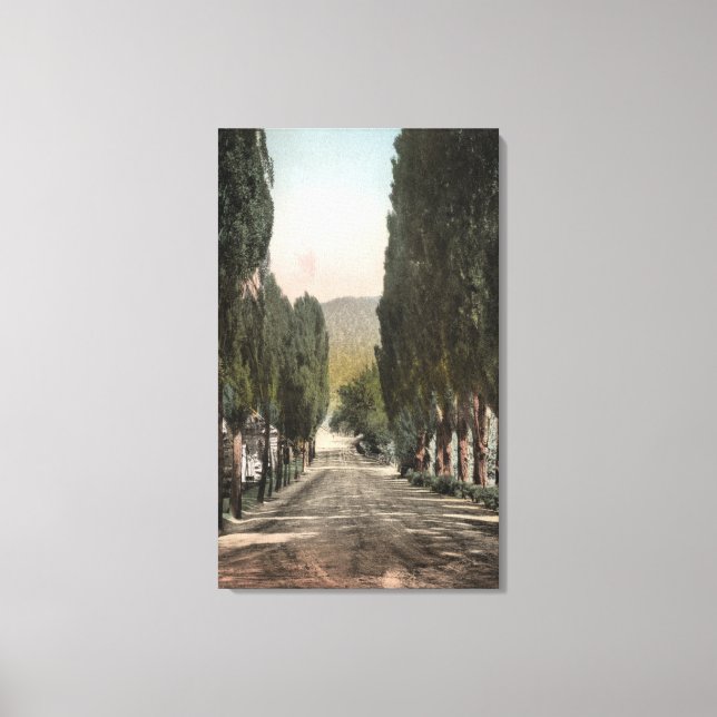 Glenwood Vår, Colorado Canvastryck (Framsida)