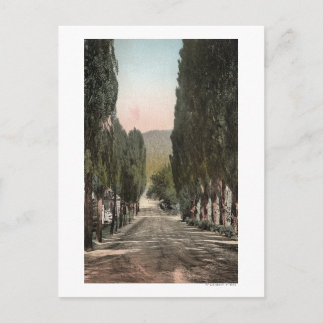 Glenwood Vår, Colorado Vykort (Framsida)