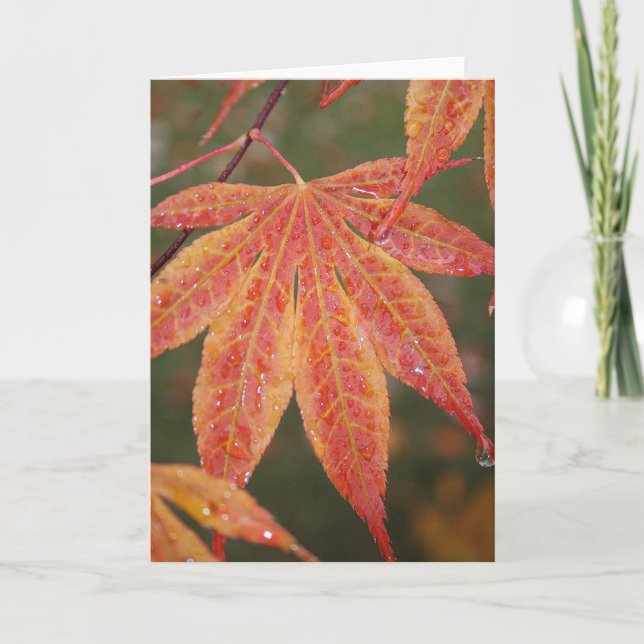 Glittra löv kort (Framsida)