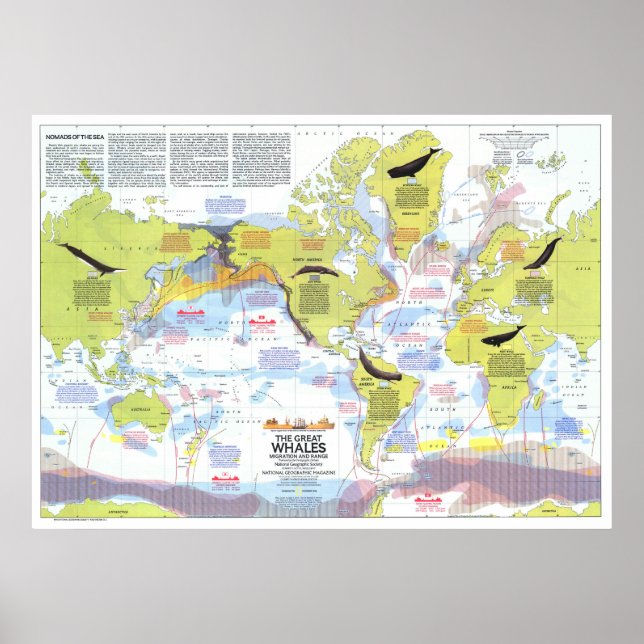 " Global: 1976 - Wale der Welt Wanderkarte ... Poster (Framsidan)