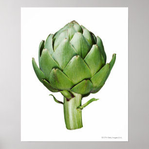 Globe Artichoke på vit bakgrund - utklippt ut Poster