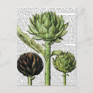 Globe Artichoke Skriv ut 2 Vykort