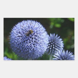 Globe Thistle Flowers Sticker Rektangulärt Klistermärke