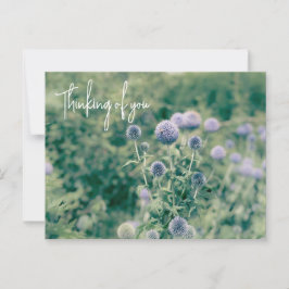 Globe Thistle- tankar på dig Vykort
