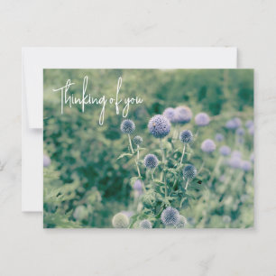 Globe Thistle- tankar på dig Vykort