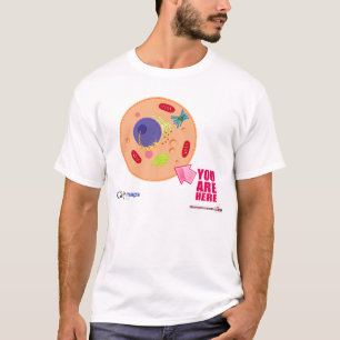 Globy kartor tee