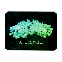 Glöd i Mörkrets Grönt Lilacs Altered Photo