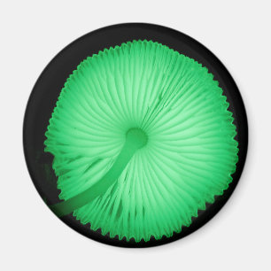 Glödande champinjoner magnet