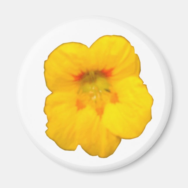 Glödande Gult Nasturtium Flower Magnet (Framsidan)