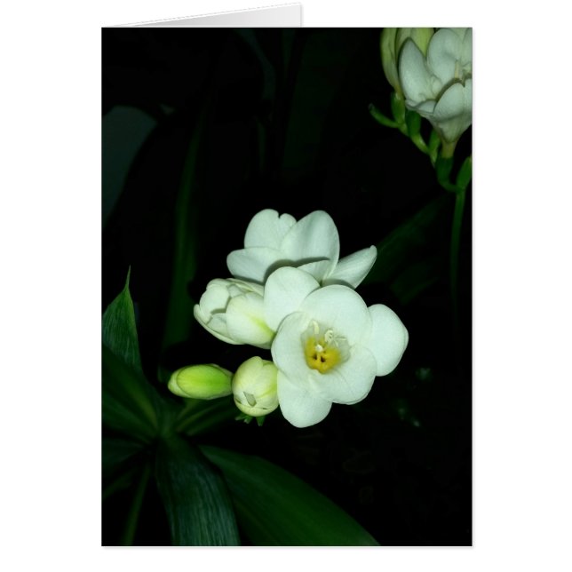 glödande i mörken hälsningskort (Framsidan)