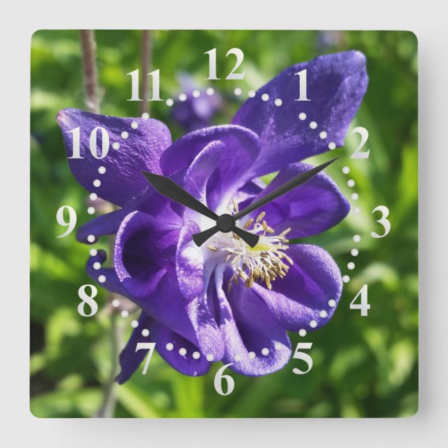 glödande lila-blomma fyrkantig klocka (Framsida)
