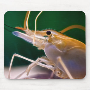 Glödande räka - Mousepad Musmatta