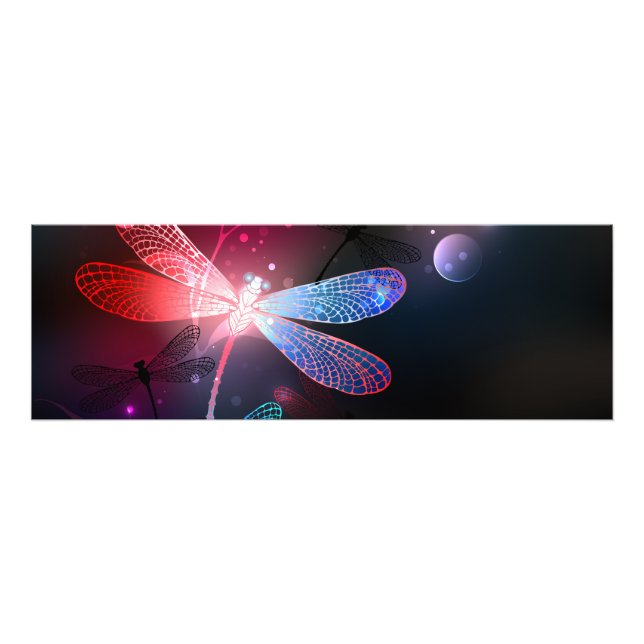 Glodande röd drakfluga fototryck (Framsidan)