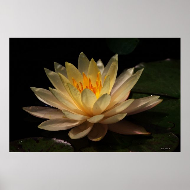 Glöden Poster (Framsidan)