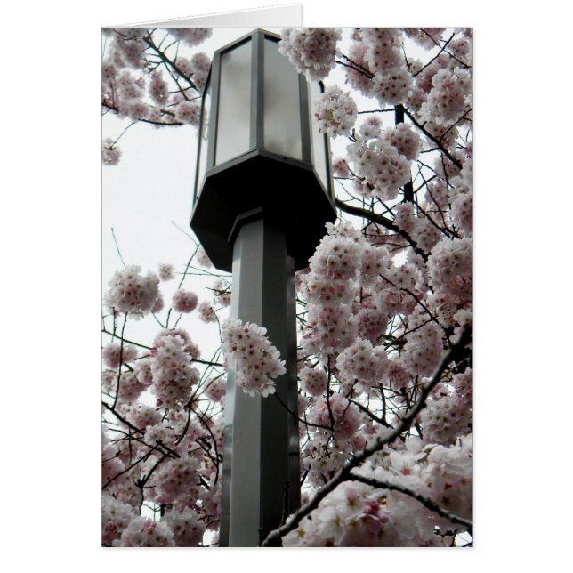 Glödlampa Hälsningskort (Framsidan)