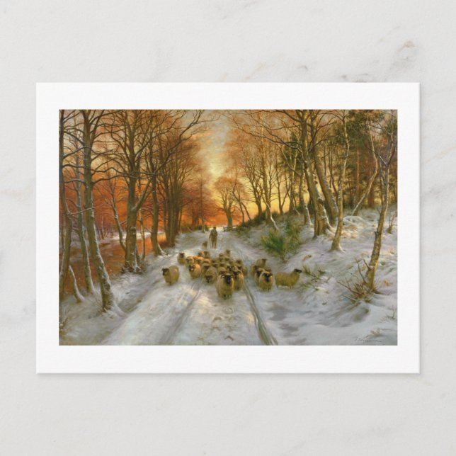 Glödtrådar av kvällstimmar vykort (Framsida)