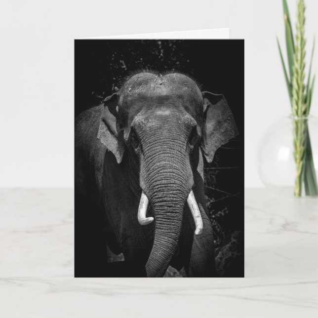 Glöm aldrig en födelsedag kort (Framsida)