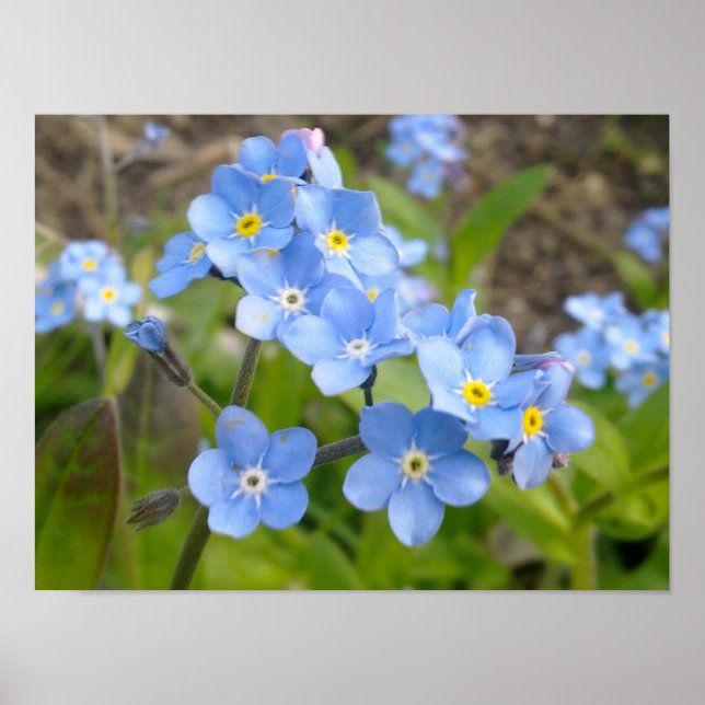 Glöm att jag inte Poster (Framsidan)