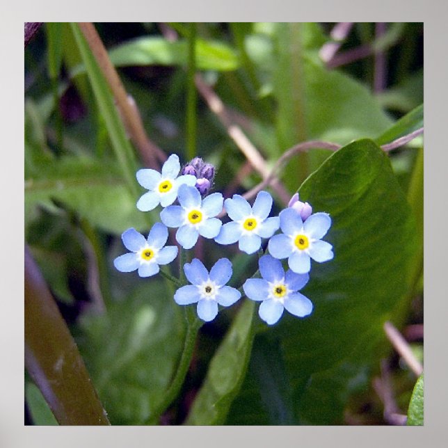 Glöm att mina noter 2 Poster (Framsidan)