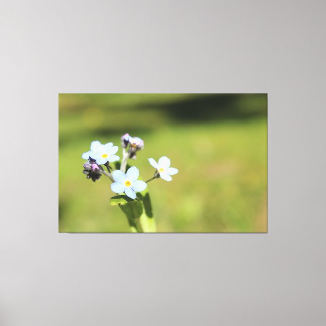 Glöm att skriva ut Grönt och inte blått Canvastryck (Framsida)