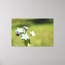 Glöm att skriva ut Grönt och inte blått Canvastryck