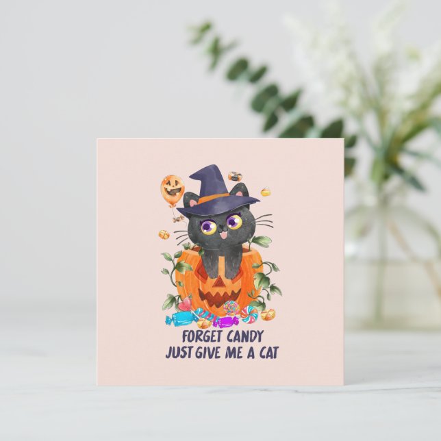 Glöm Candy, Ge mig en katt - Witch Cat (Stående Fram)