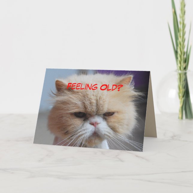 Glöm det Persisk Katt Humor Kort (Framsida)